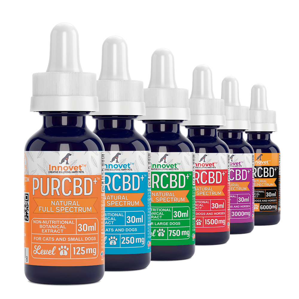 CBD Oil for Dogs CBD Oil for Dogs