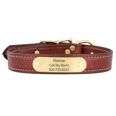 English Bridle Leather Dog Collar with Name Plate