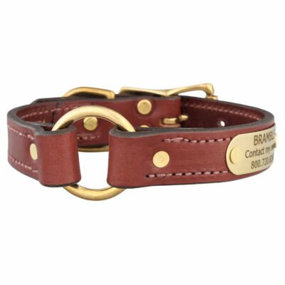 English Bridle Leather Safety Collar with Name Plate