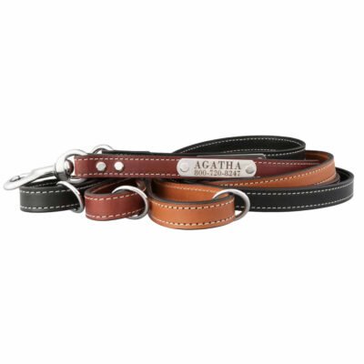English Bridle Leather NamePlate Leash