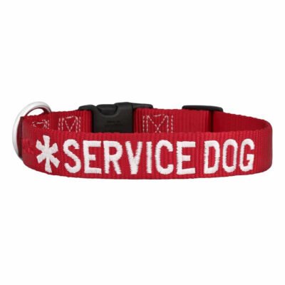 Custom Embroidered Nylon Service Dog Collar