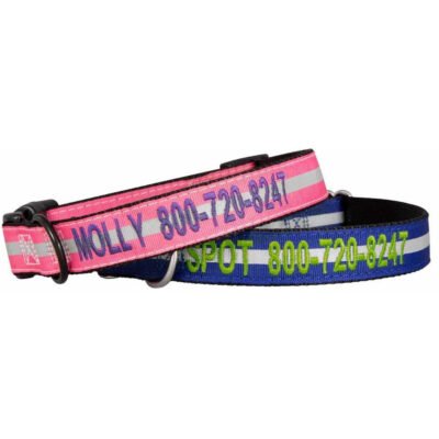 Embroidered Reflective Nylon Collar