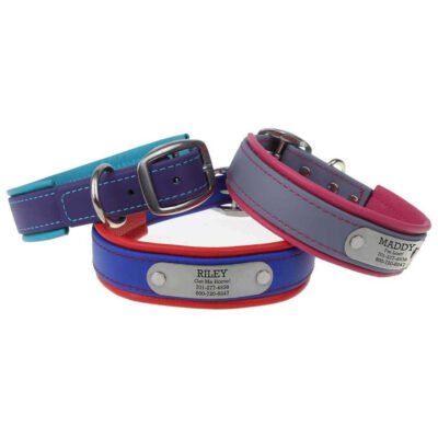 Fusion Waterproof Padded NamePlate Collar