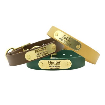 Waterproof Standard NamePlate Collar with Brass Hardware