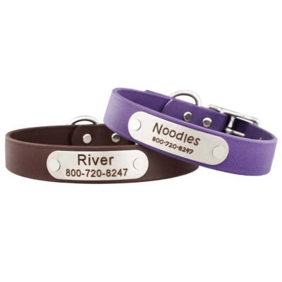 Waterproof Standard NamePlate Collar