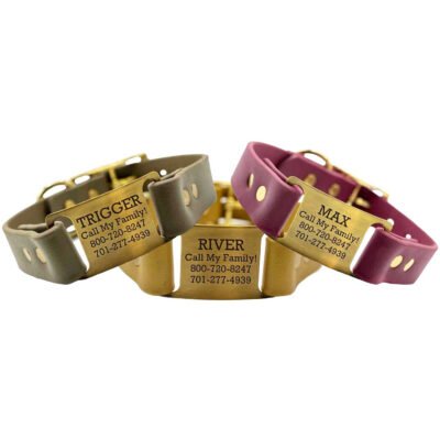 Waterproof ScruffTag Collar with Brass Hardware