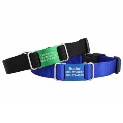 Color Splash Nylon ScruffTag Collar