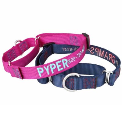 Custom Embroidered Nylon Martingale Collar