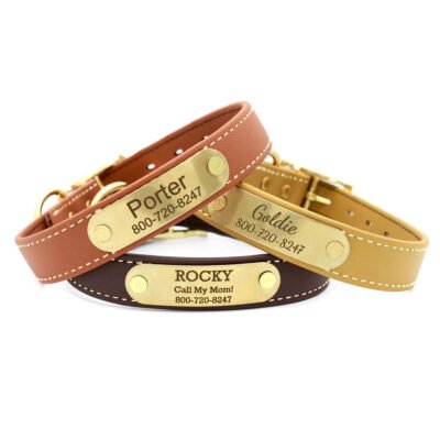 Waterproof Stitched Standard NamePlate Collar