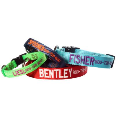 Custom Embroidered Nylon Collar