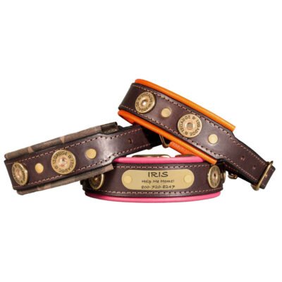 Hornaday Padded English Bridle Leather NamePlate Collar