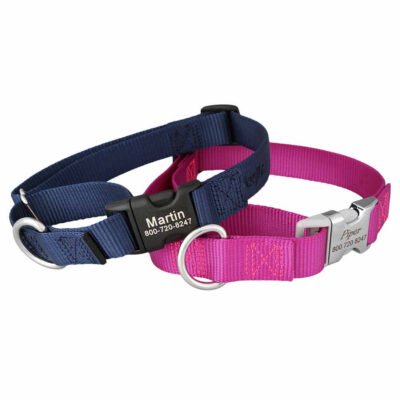 Personalized Buckle Nylon Martingale Collar