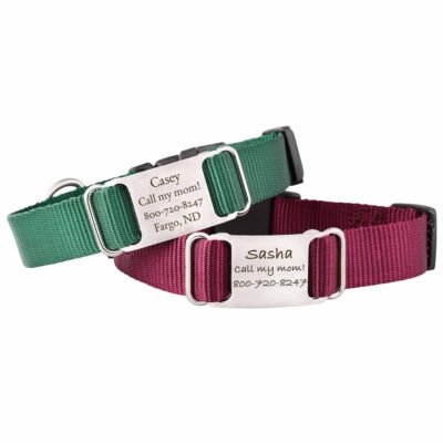 Nylon ScruffTag Collar
