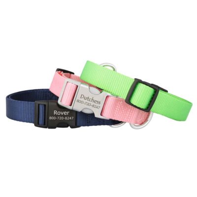 Personalized Buckle Nylon Dog Collar