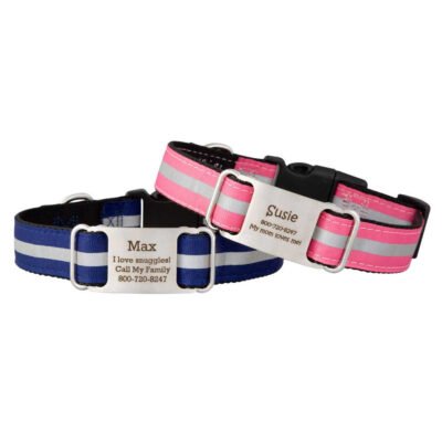 Reflective Ribbon Nylon ScruffTag Collar