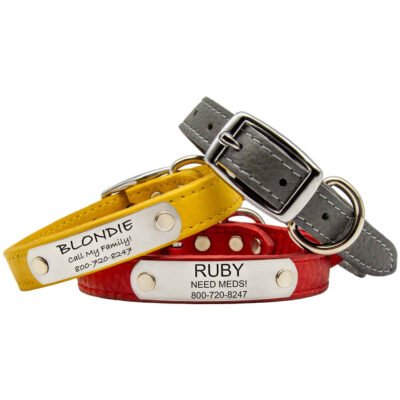 Soft Designer Leather Personalized Dog Collars