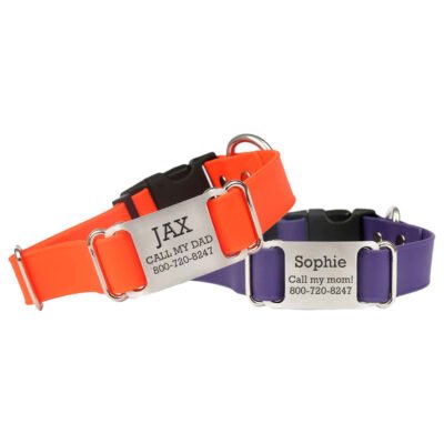 Waterproof ScruffTag Collar with Quick Release Buckle