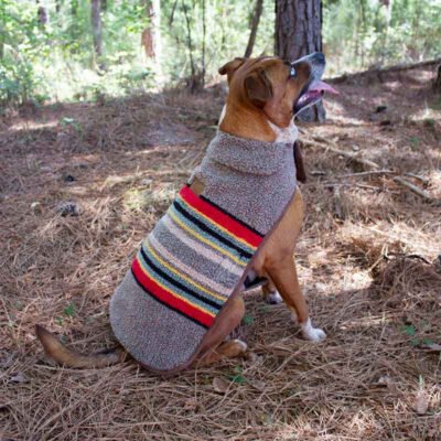 Pendleton Reversible Berber Dog Coat