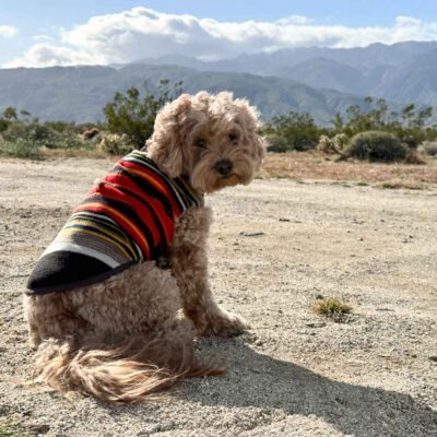 Pendleton Polar Fleece Dog Vest