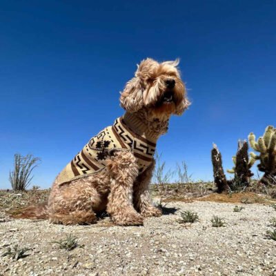 Pendleton Knit Dog Sweater