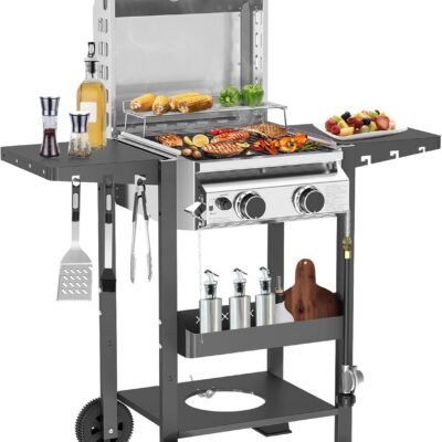2-Burner Stainless Steel Propane Grill, 16,000 BTU Portable Gas BBQ with Electronic Ignition