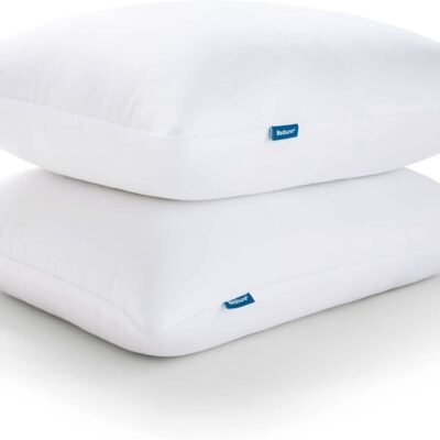 GentleSoft Down Alternative Pillow 2pk