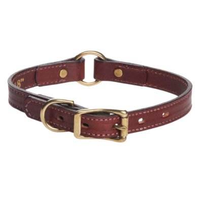 English Bridle Leather Safety Collar