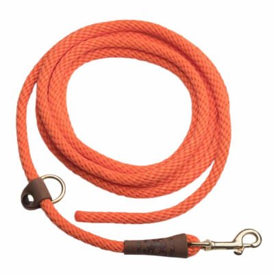Braided EZ Trainer Leash
