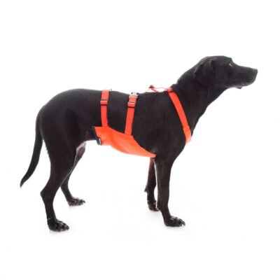 Skid Plate Chest Protector Dog Vest