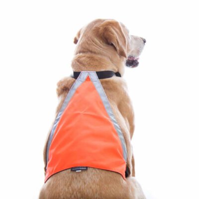 Visi-Vest Reflective Dog Vest