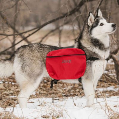 Personalized Dog Backpack