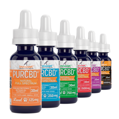 CBD Oil for Dogs