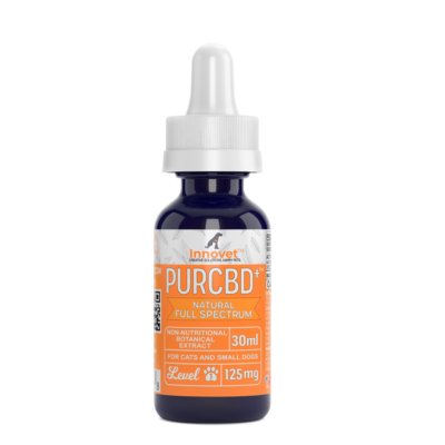 CBD Oil for Cats