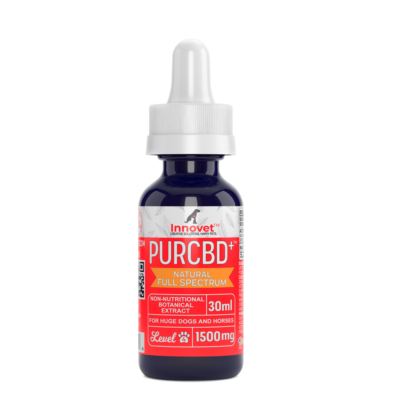 CBD Oil for Horses