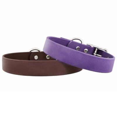 Waterproof Standard Collar