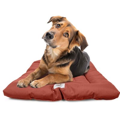 Brutus Tough Chew Resistant Comfort Cushion for Dogs