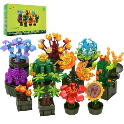 Succulent Set 10001