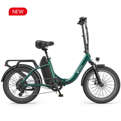 DYU C9 20 Inch Long-Range ebike