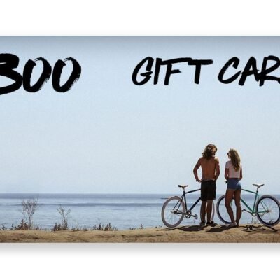 $300 Gift Card