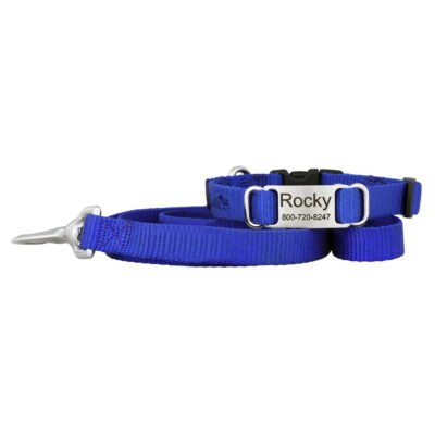 Nylon Pup Pack: Nylon ScruffTag Collar & Matching Leash Bundle