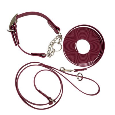 Waterproof Training Pack: Personalized Waterproof Chain Martingale, Slip Lead & Long Line