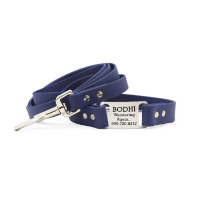 Waterproof Pup Pack: Waterproof ScruffTag Collar & Matching Leash Bundle
